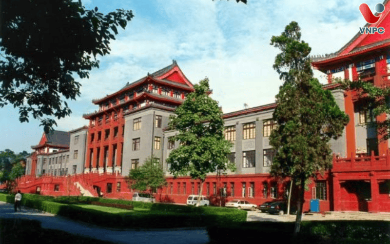 M.77King casino trực tuyến Tứ Xuyên